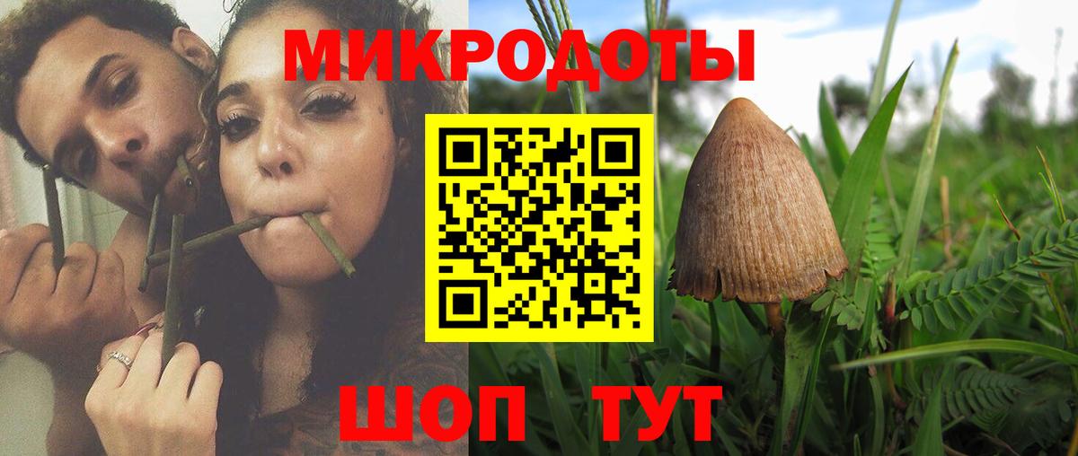Псилоцибиновые грибы MAGIC MUSHROOMS Электрогорск
