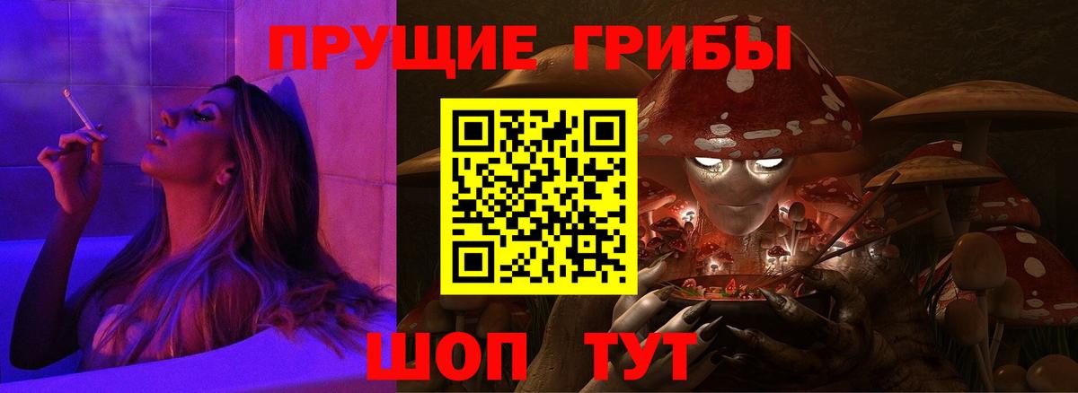 Электрогорск  Псилоцибиновые грибы ЛСД  Вход с VPN  Галлюциногенные грибы мицелий 